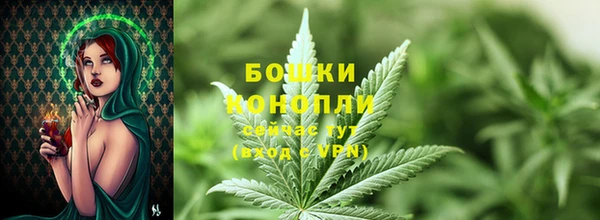 винт Вяземский