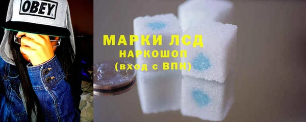 гашик Вязьма