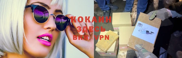 гашик Вязьма