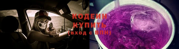 гашик Вязьма