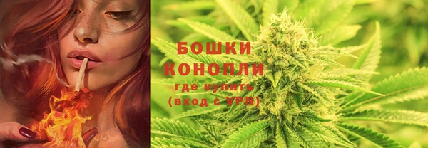 гашик Вязьма