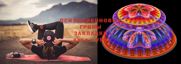 винт Вяземский