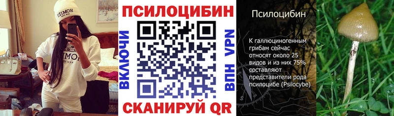 как найти закладки  Переславль-Залесский  Галлюциногенные грибы прущие грибы 